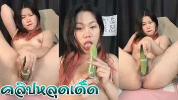 ไลฟ์สดช่วยตัวเอง แตงยัดหี หีใหญ่ หีอวบ หอมหี